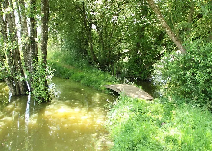 Des Chirons, 30mins Puy Du Fou La Foret-sur-Sevre