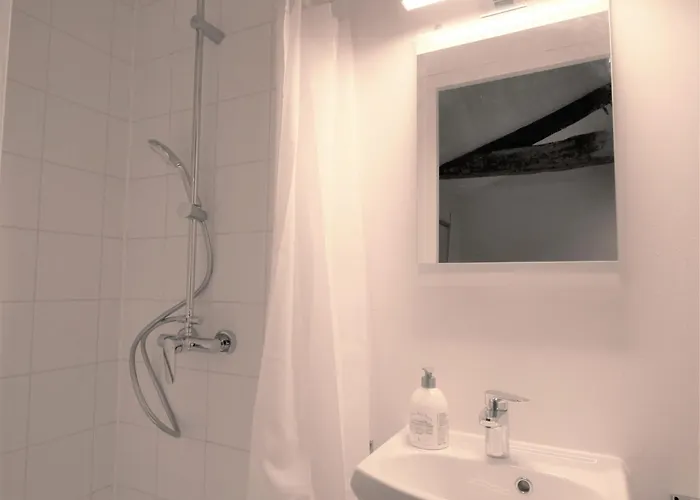 Сasa de vacaciones Des Chirons, 30mins Puy Du Fou La Foret-sur-Sevre